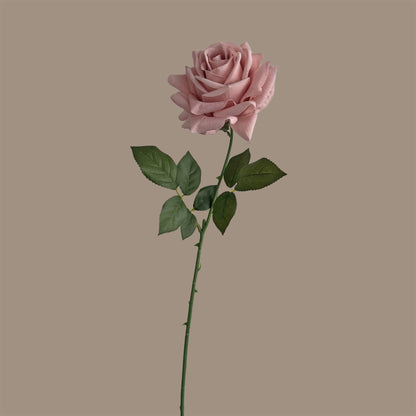 Artful Garden Rose — Nude Pink