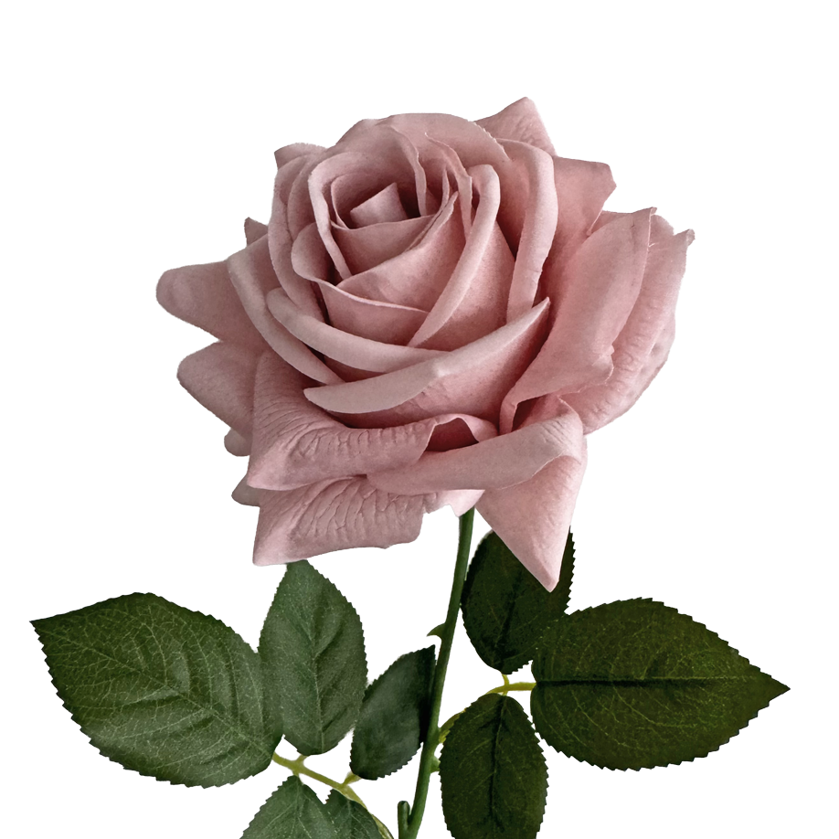 Artful Garden Rose — Nude Pink