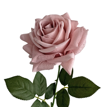 Artful Garden Rose — Nude Pink
