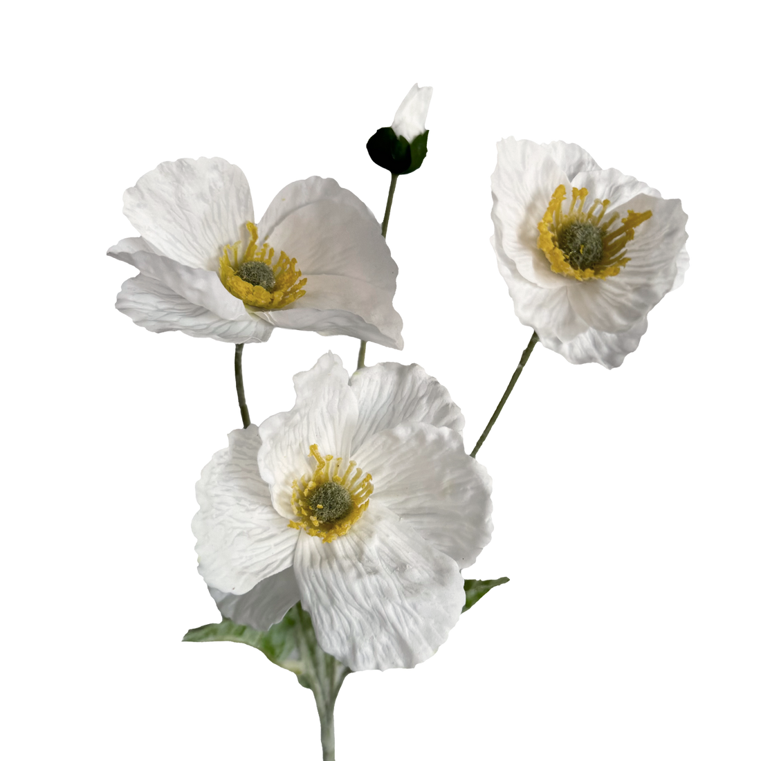 Poppy Spray with Bud — Cloud White