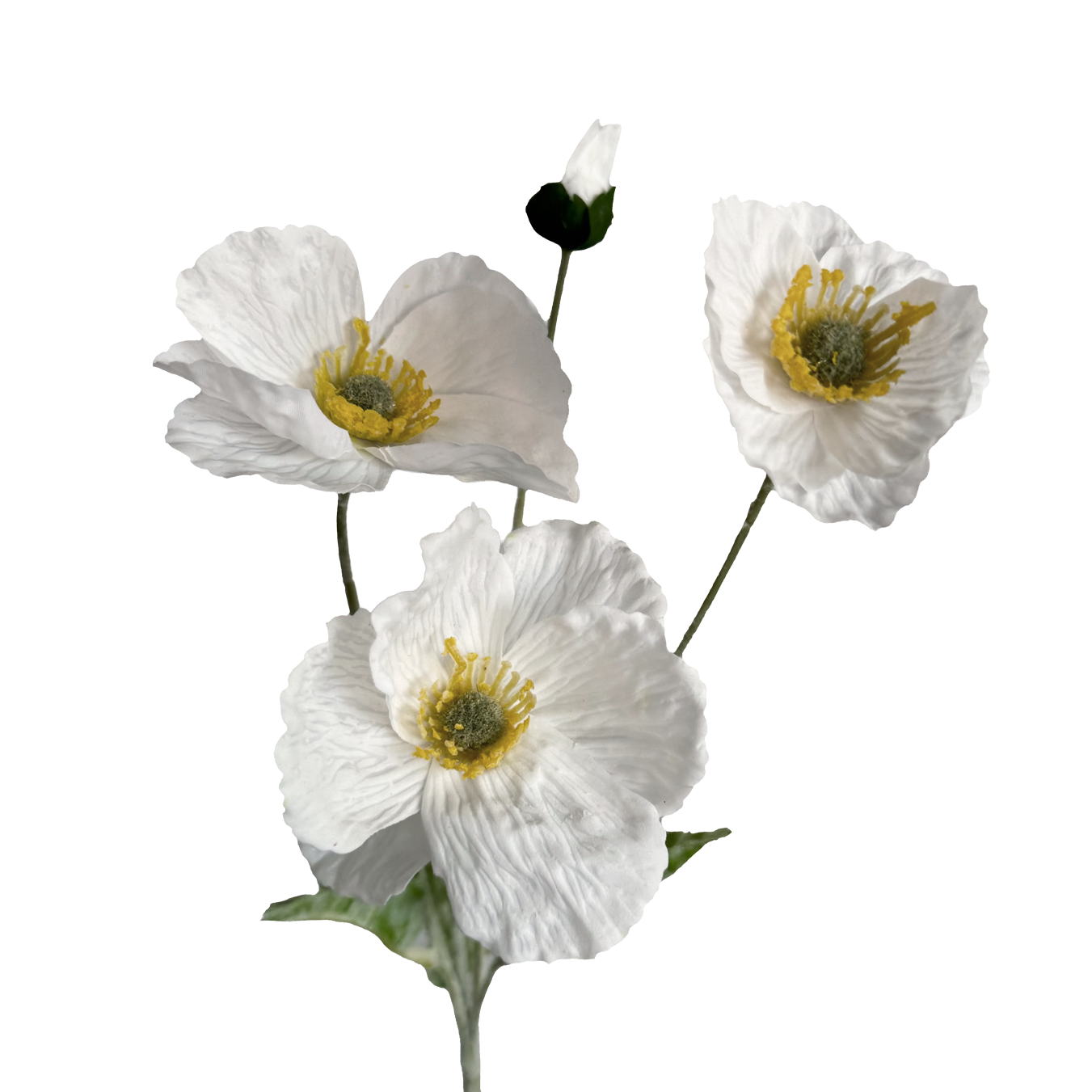 Poppy Spray with Bud — Cloud White