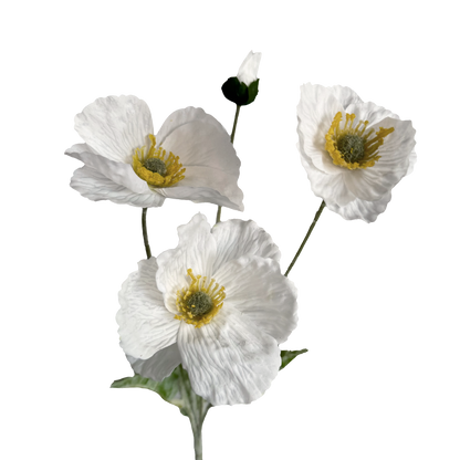 Poppy Spray with Bud — Cloud White