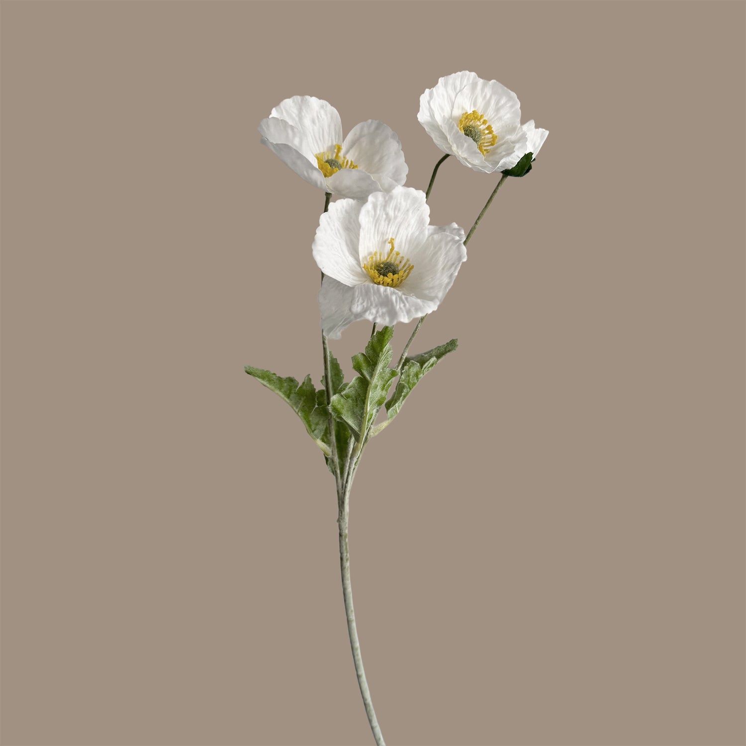 Poppy Spray with Bud — Cloud White