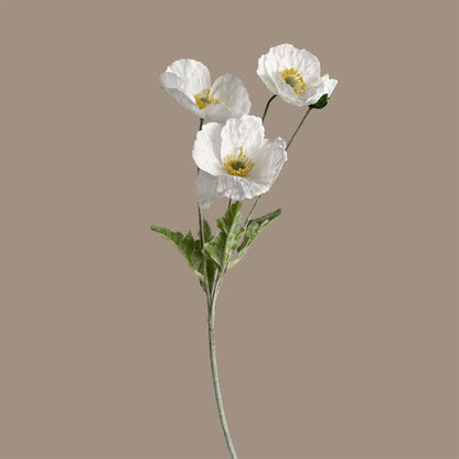 Poppy Spray with Bud — Cloud White