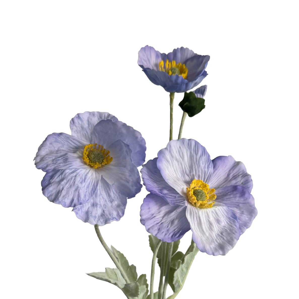 Poppy Spray with Bud — Soft Lilac