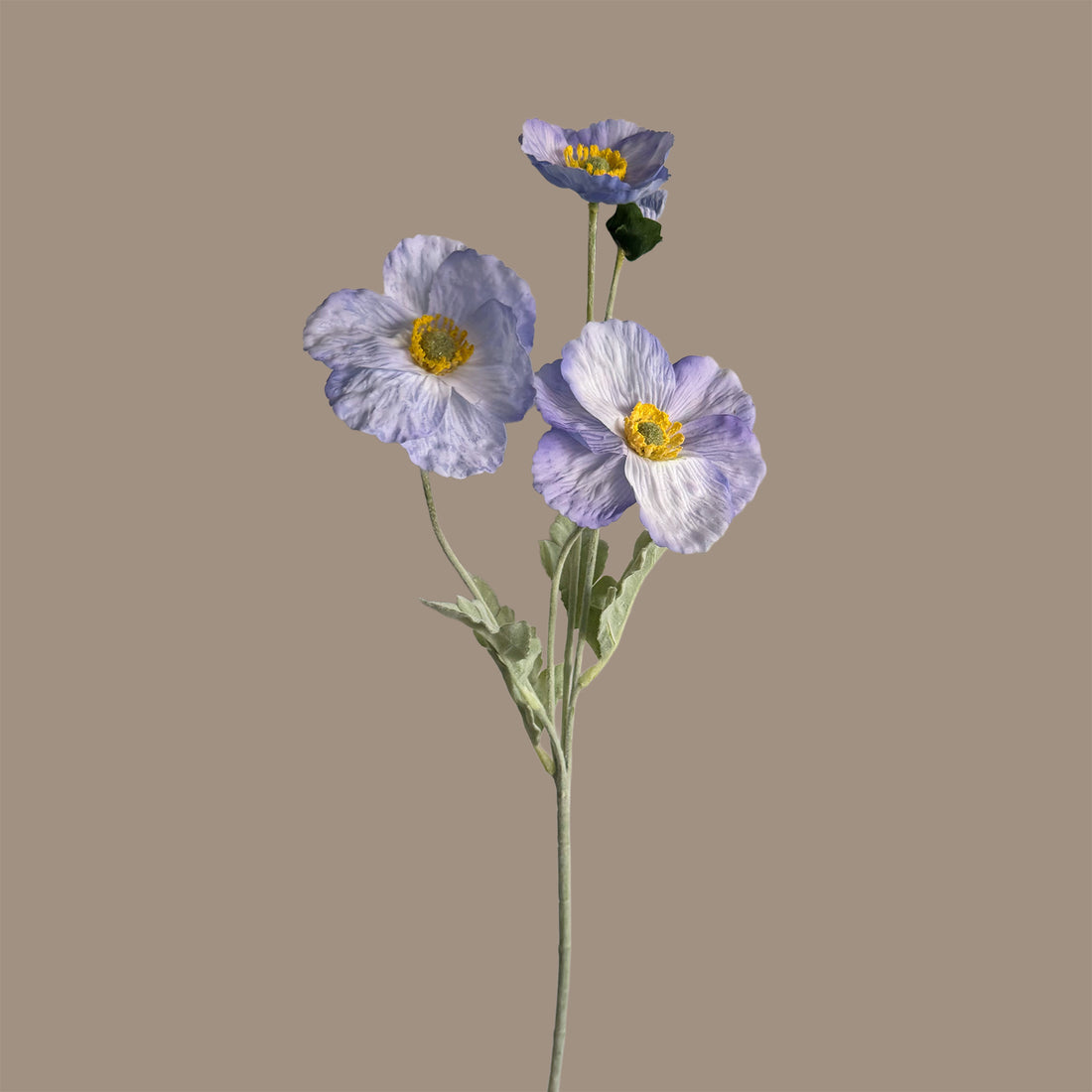 Poppy Spray with Bud — Soft Lilac