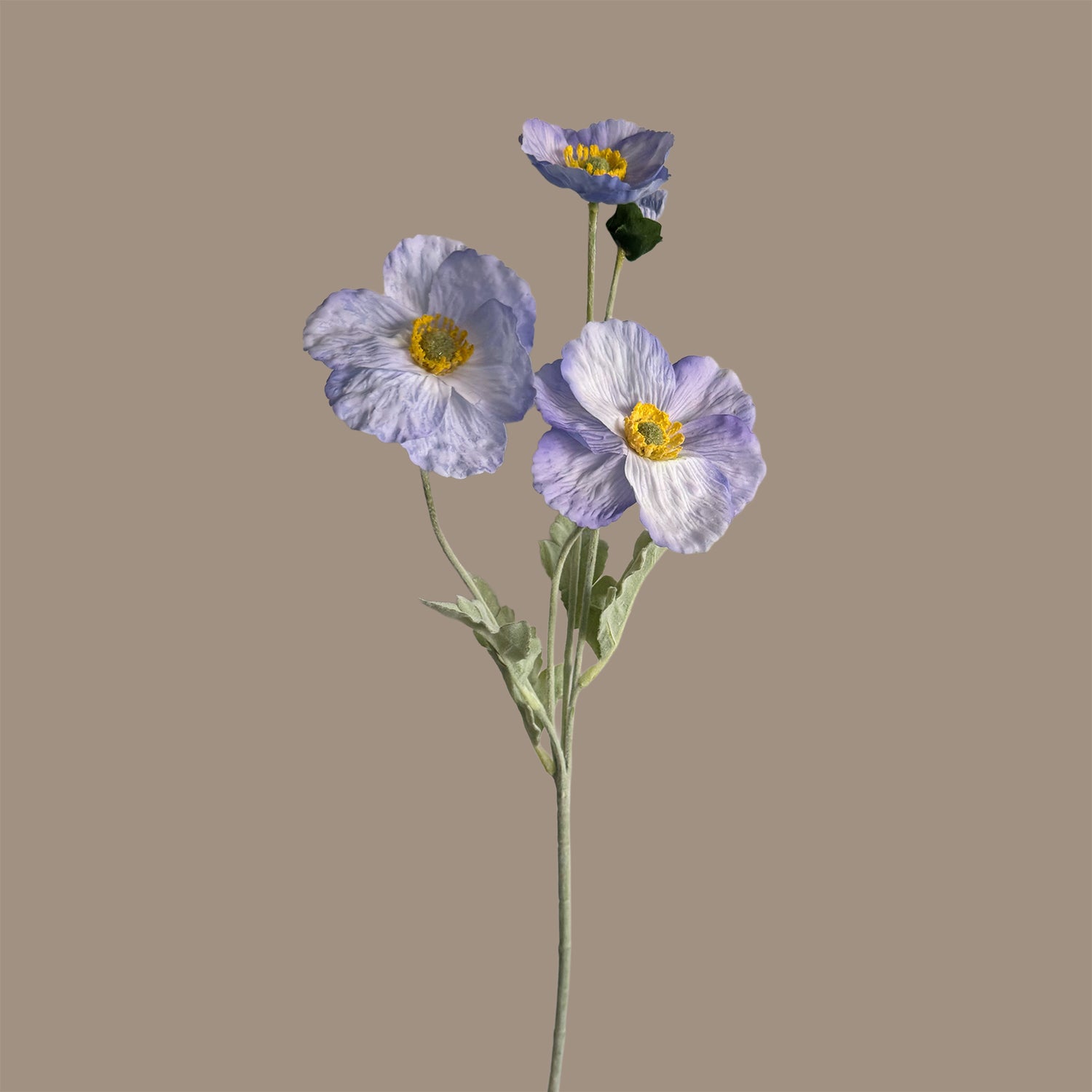 Poppy Spray with Bud — Soft Lilac