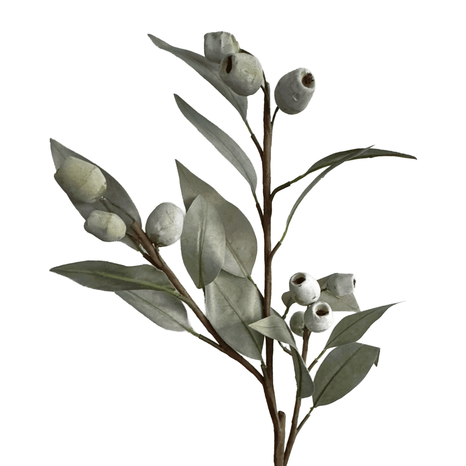 Berry Stem — Mist Green