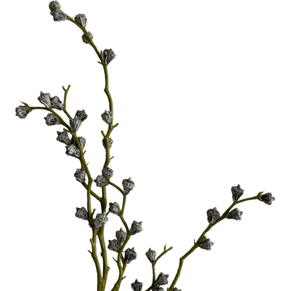 Eucalyptus Bud Branch — Laurel Frost