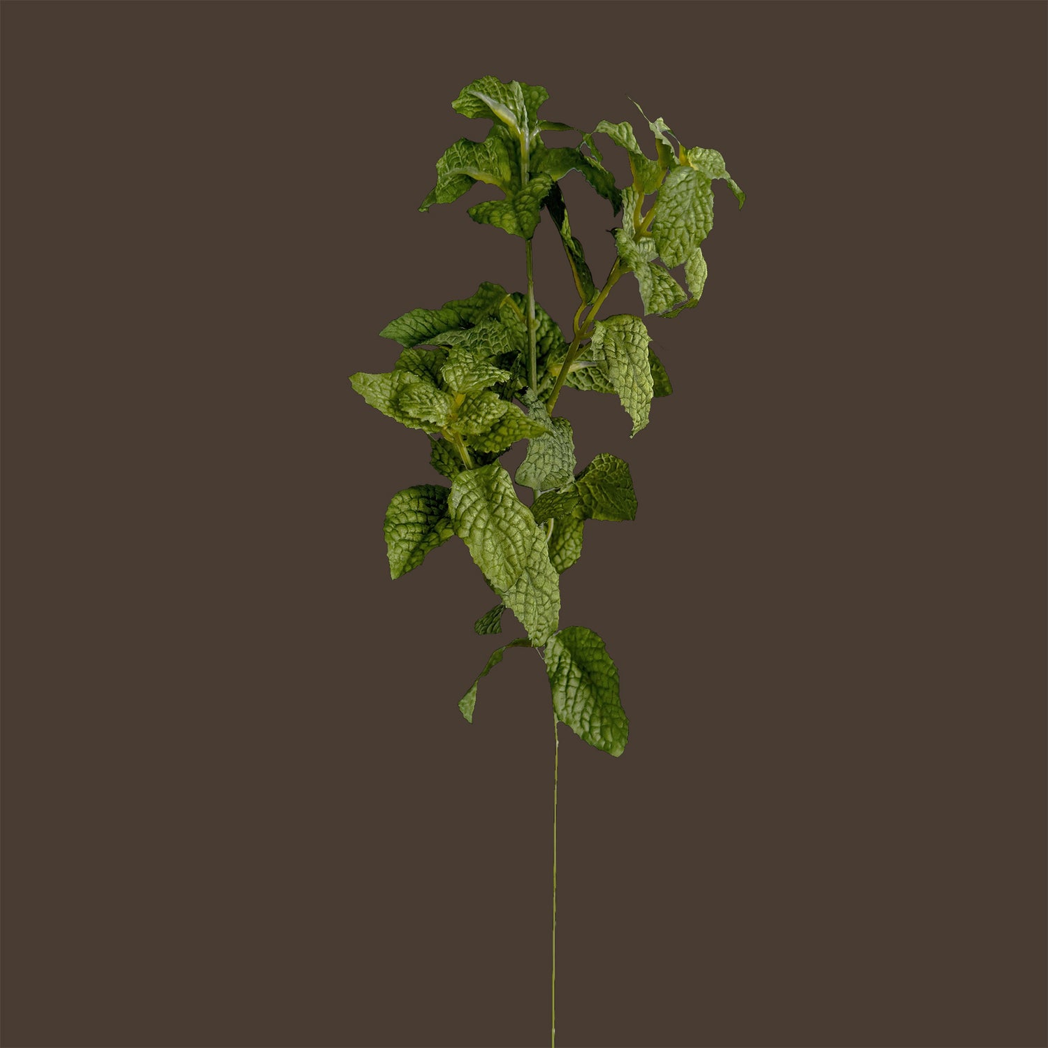 Mint Leaf Spray — Fresh Mint