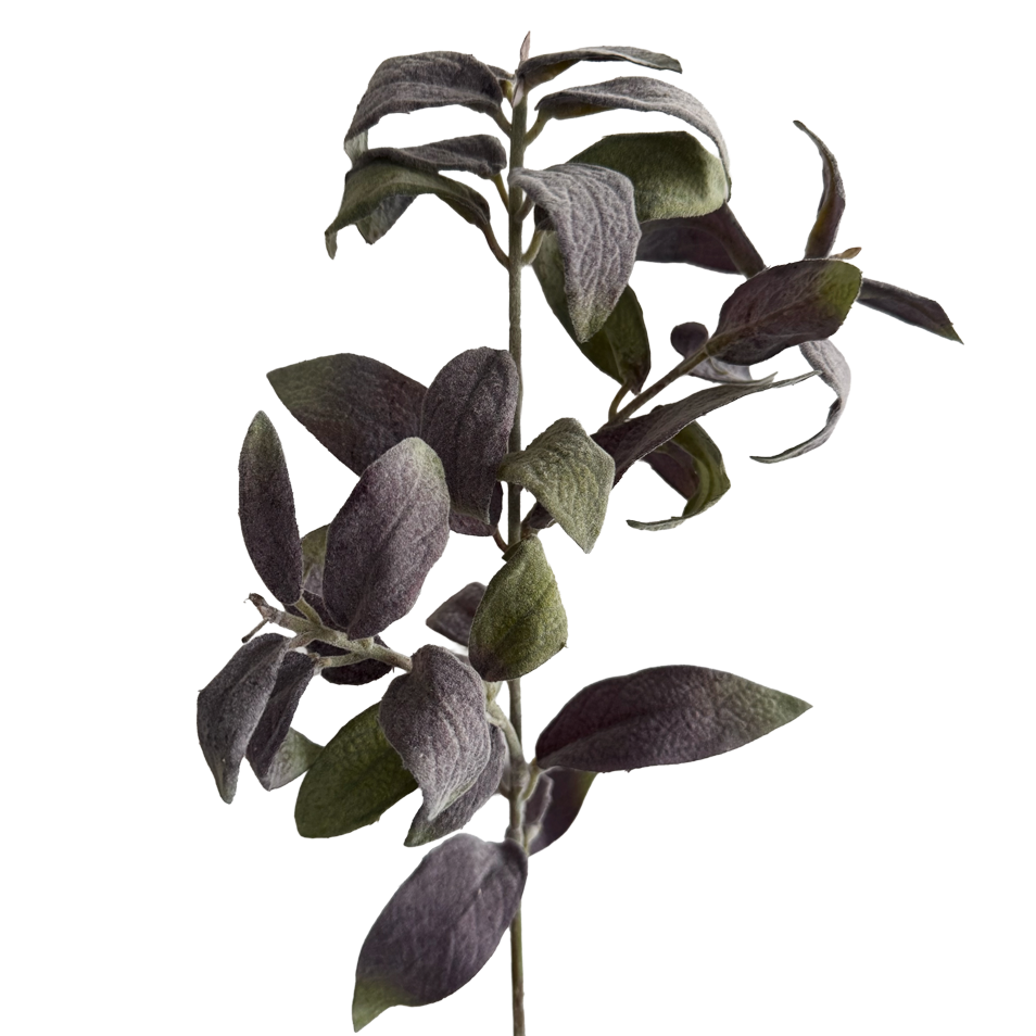 Sage — Smoky Purple Green