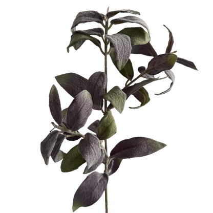 Sage — Smoky Purple Green