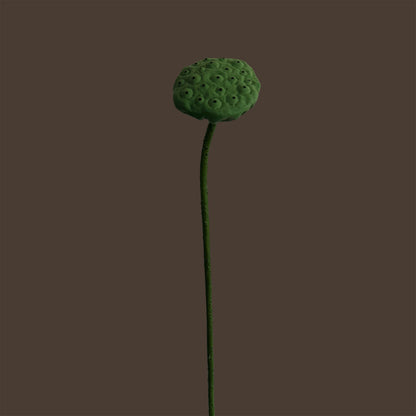 Zen Lotus Seed Pod — Forest Green