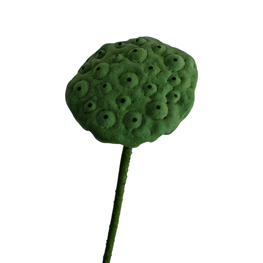 Zen Lotus Seed Pod — Forest Green