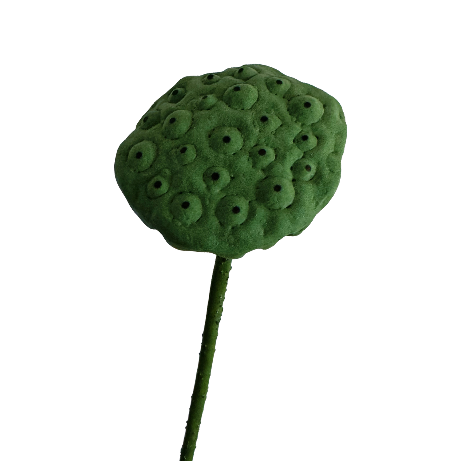 Zen Lotus Seed Pod — Forest Green