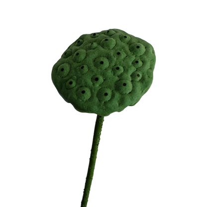 Zen Lotus Seed Pod — Forest Green