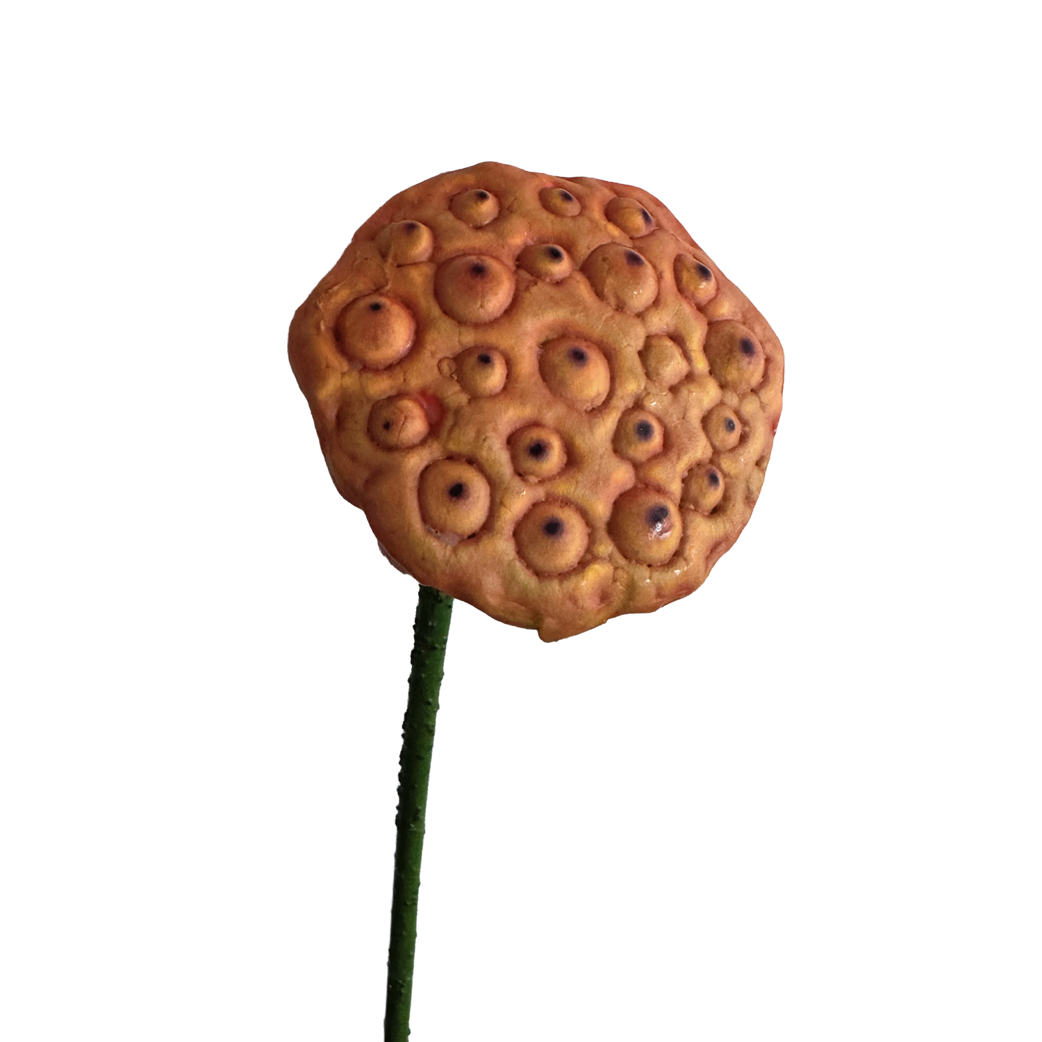 Zen Lotus Seed Pod — Bronze Red
