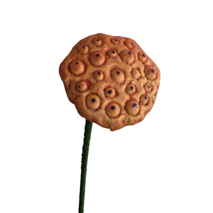 Zen Lotus Seed Pod — Bronze Red