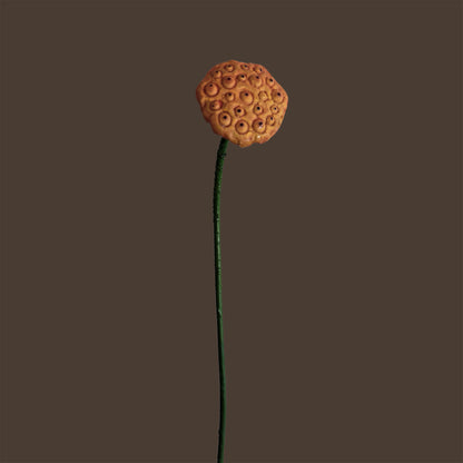 Zen Lotus Seed Pod — Bronze Red
