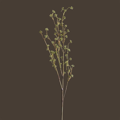 Lepidium Seed Spray — Olive Chartreuse