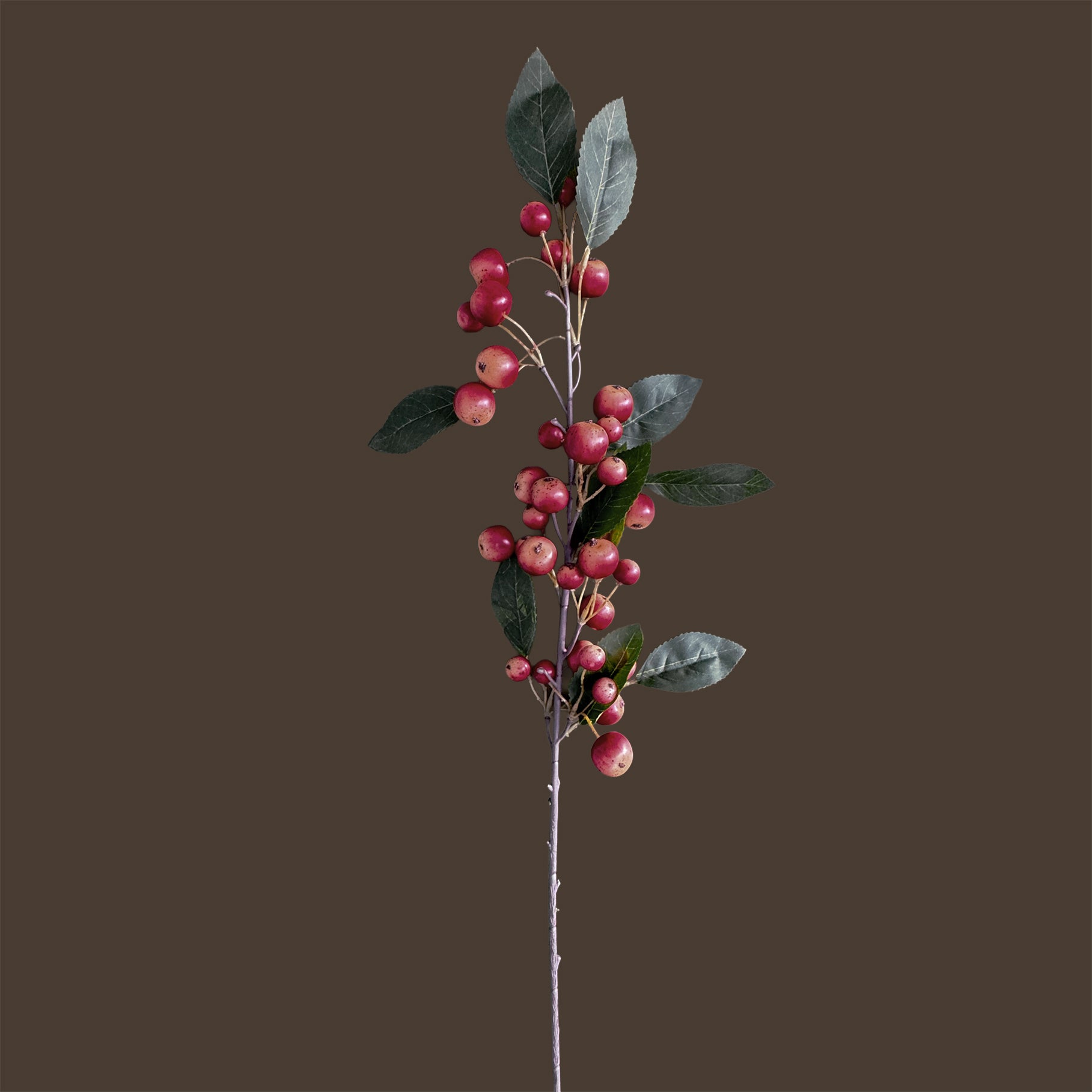 Malus Crabapple — Orchard Carmine