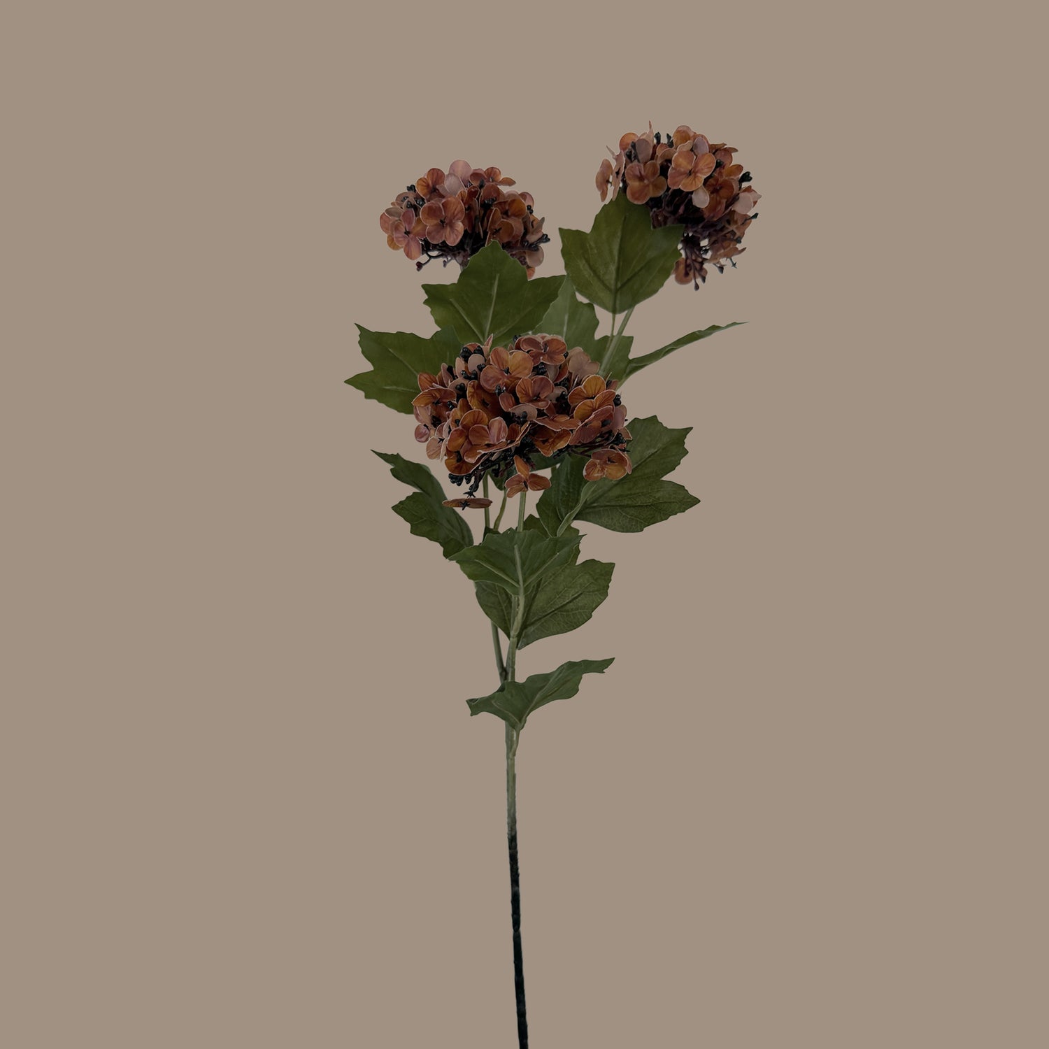 Hydrangea Petal Cluster Spray — Terracotta Brown