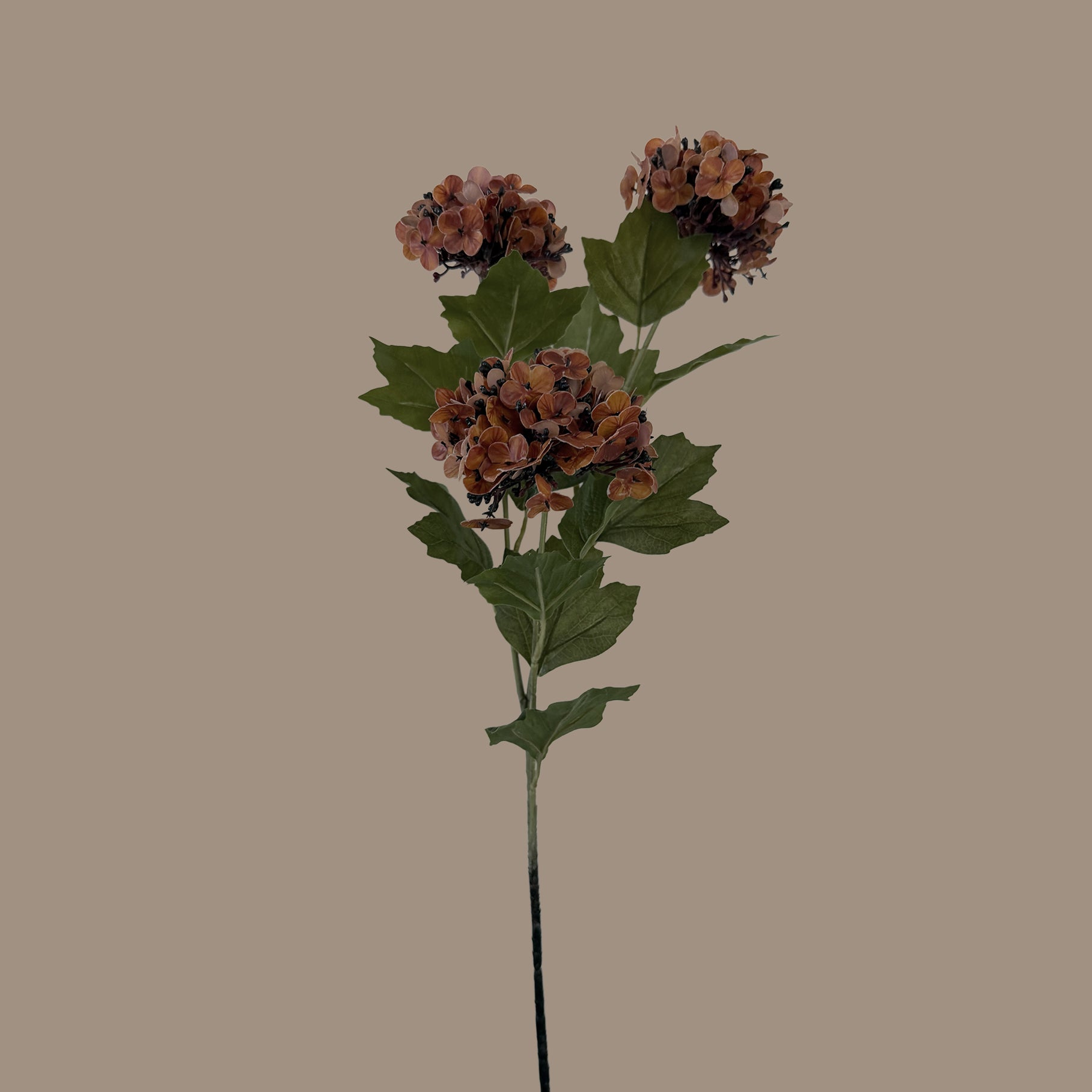 Hydrangea Petal Cluster Spray — Terracotta Brown