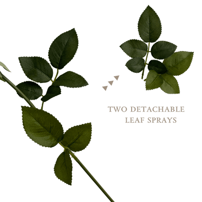 Elegance Modular Leaf Ensemble Rose — Pearl White