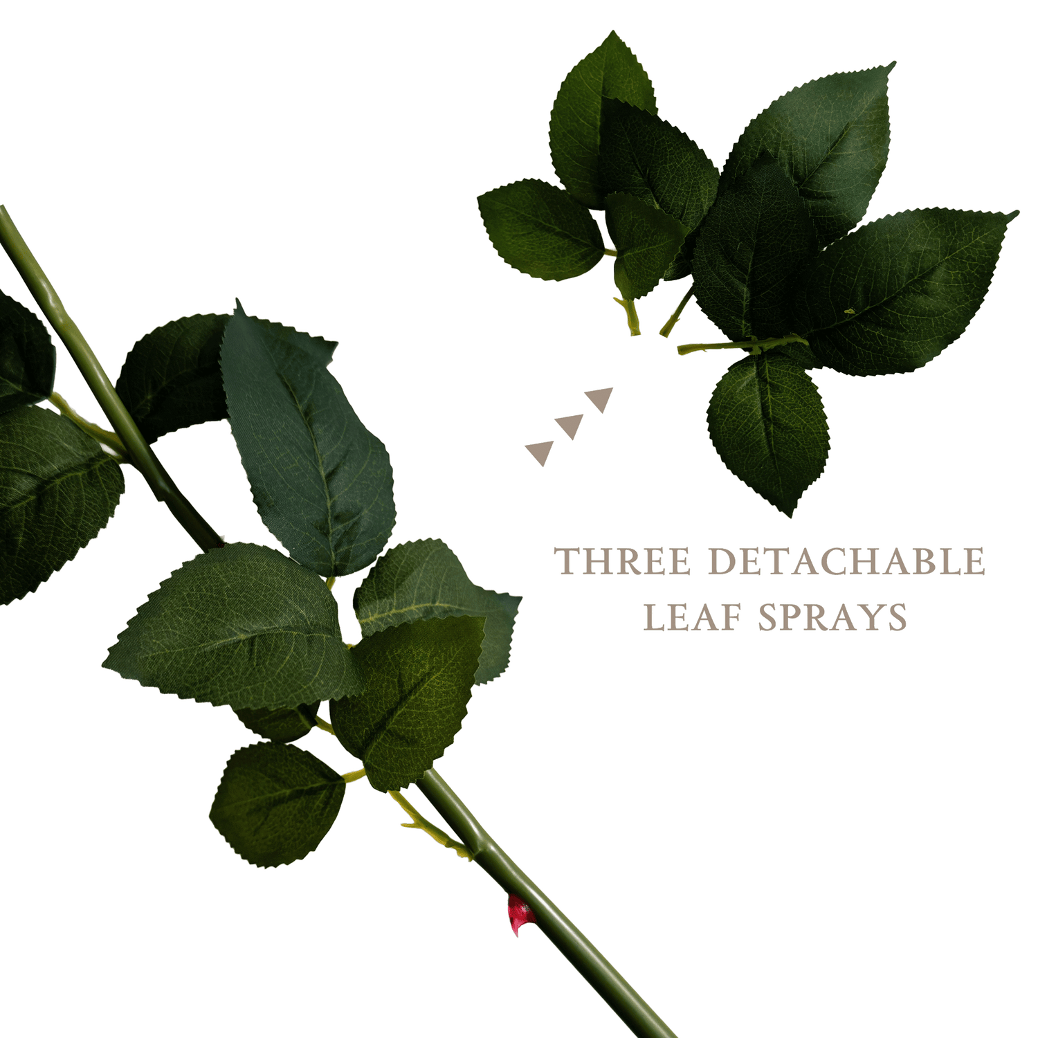 Aesthetic Modular Leaf Ensemble Rose — Skylight Blue