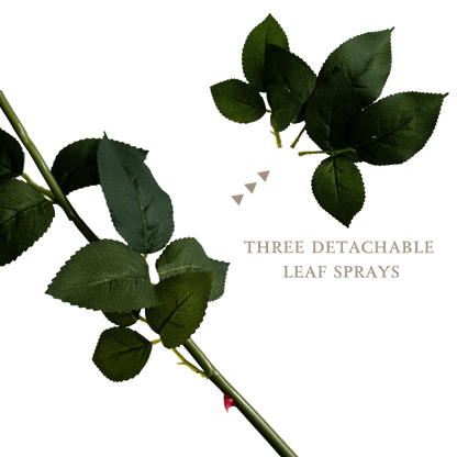 Aesthetic Modular Leaf Ensemble Rose — Skylight Blue