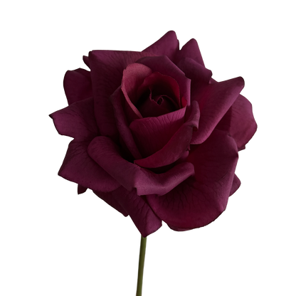 Leafless Rose — Plum