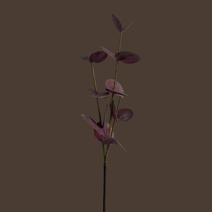 Eucalyptus — Dusty Rose Red