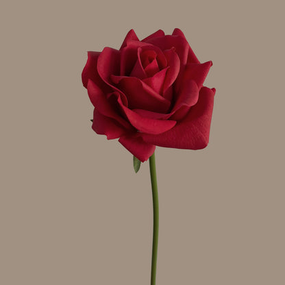 Leafless Rose — Valentine Red