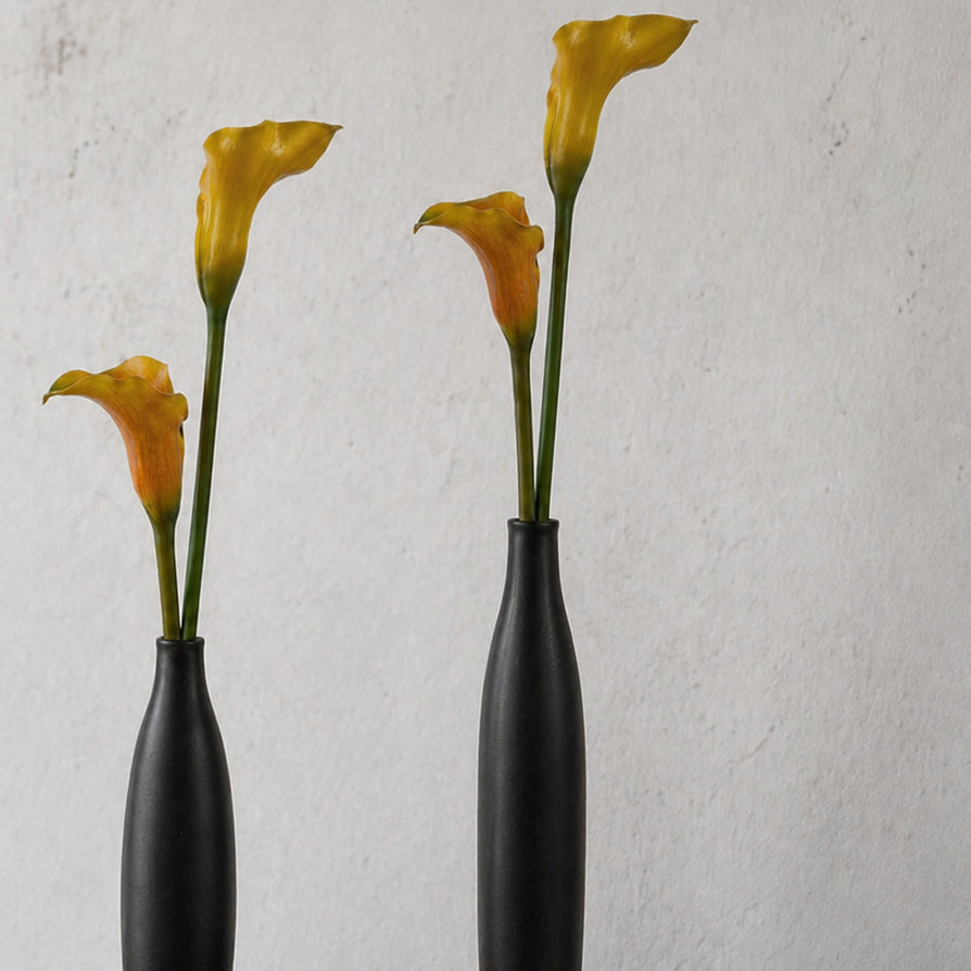 Warm Light Calla (4 stems)