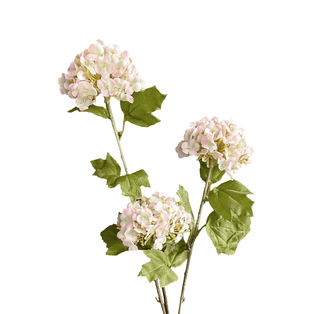 Hydrangea Tricluster Spray — Whisper Blush