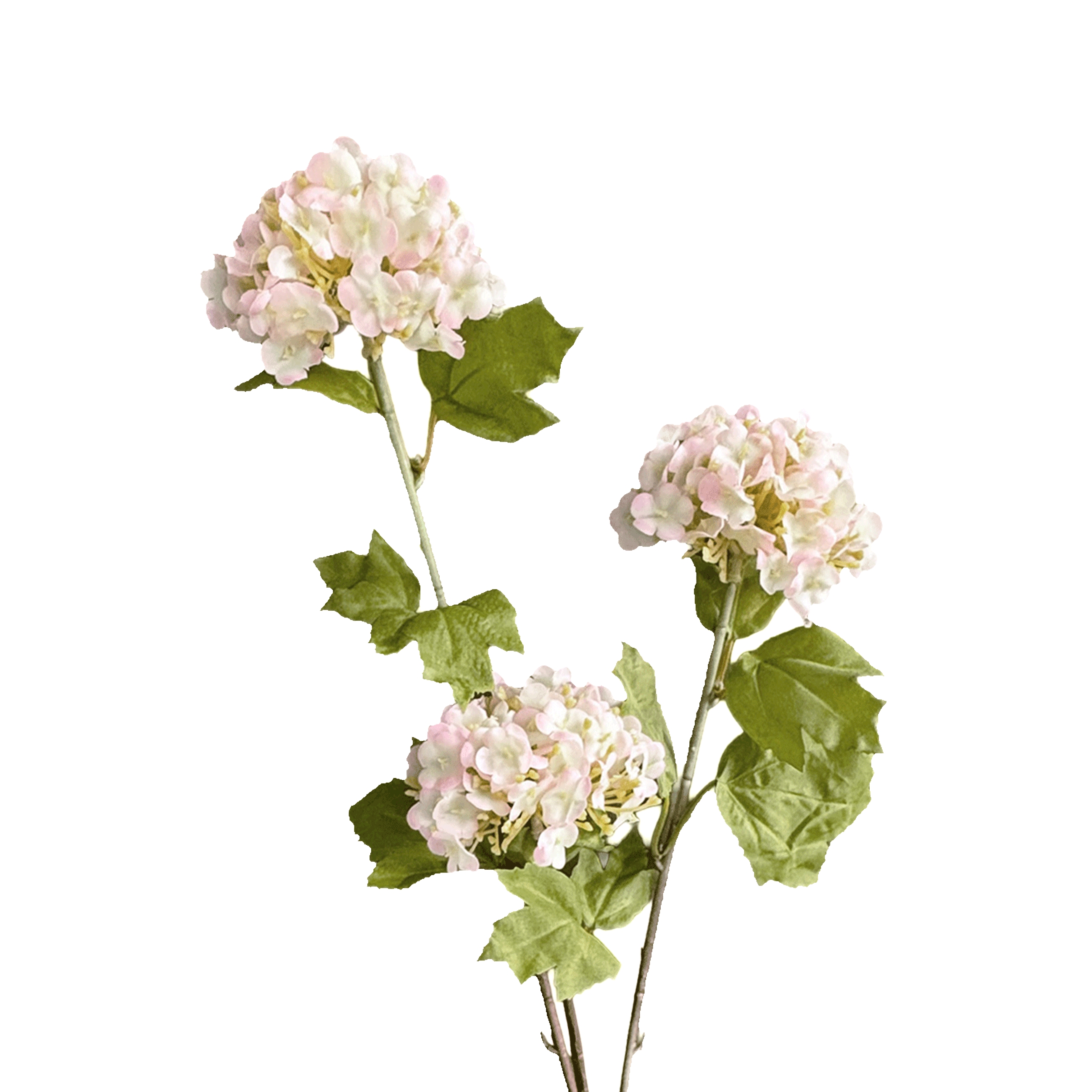 Hydrangea Tricluster Spray — Whisper Blush