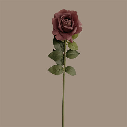 Aesthetic Modular Leaf Ensemble Rose — Morandi Rouge