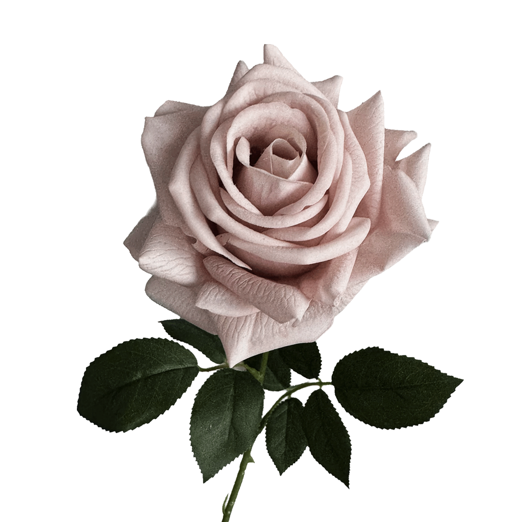 Artful Garden Rose — Morandi Dust Pink