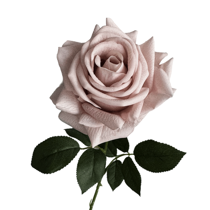 Artful Garden Rose — Morandi Dust Pink