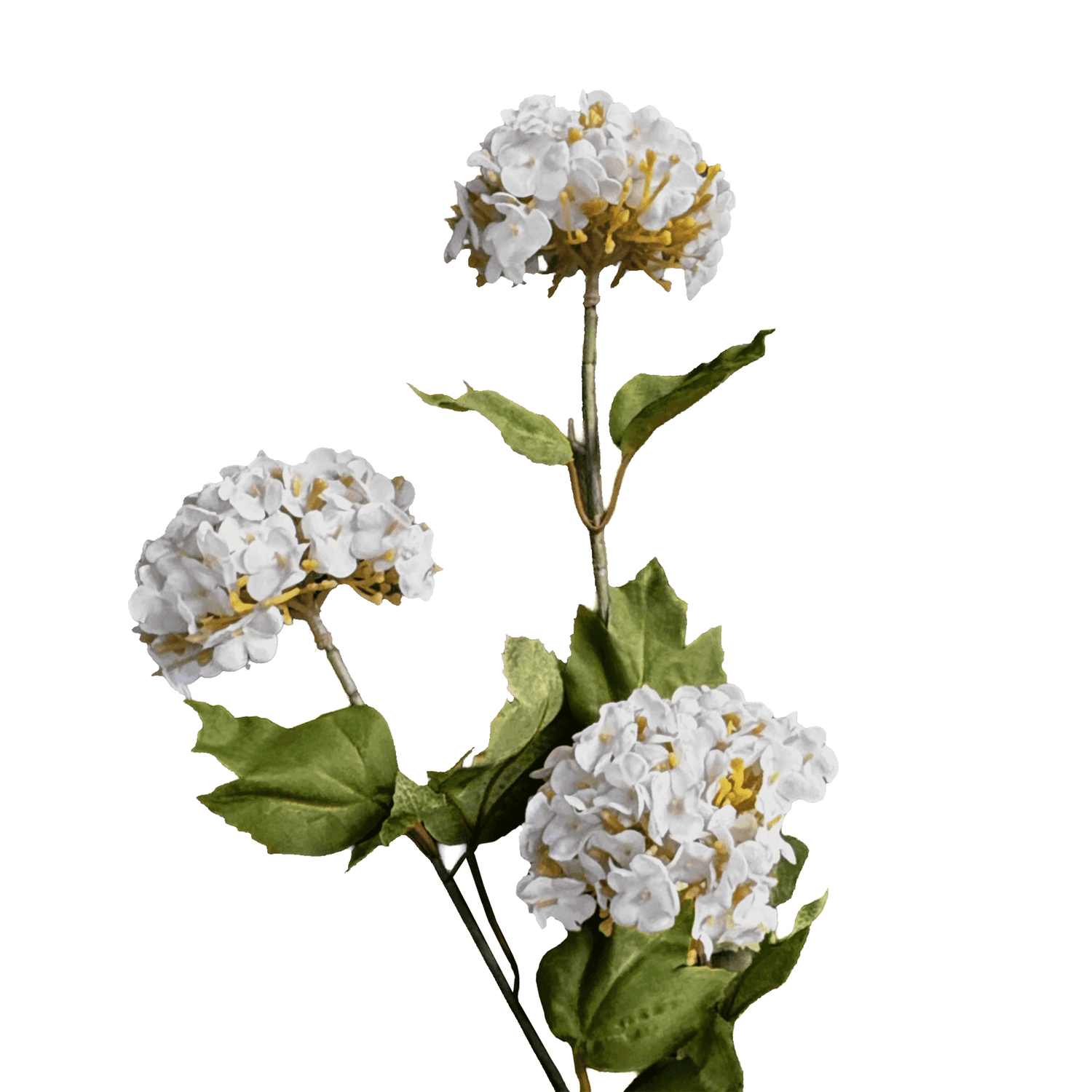 Hydrangea Tricluster Spray — Moonlight White