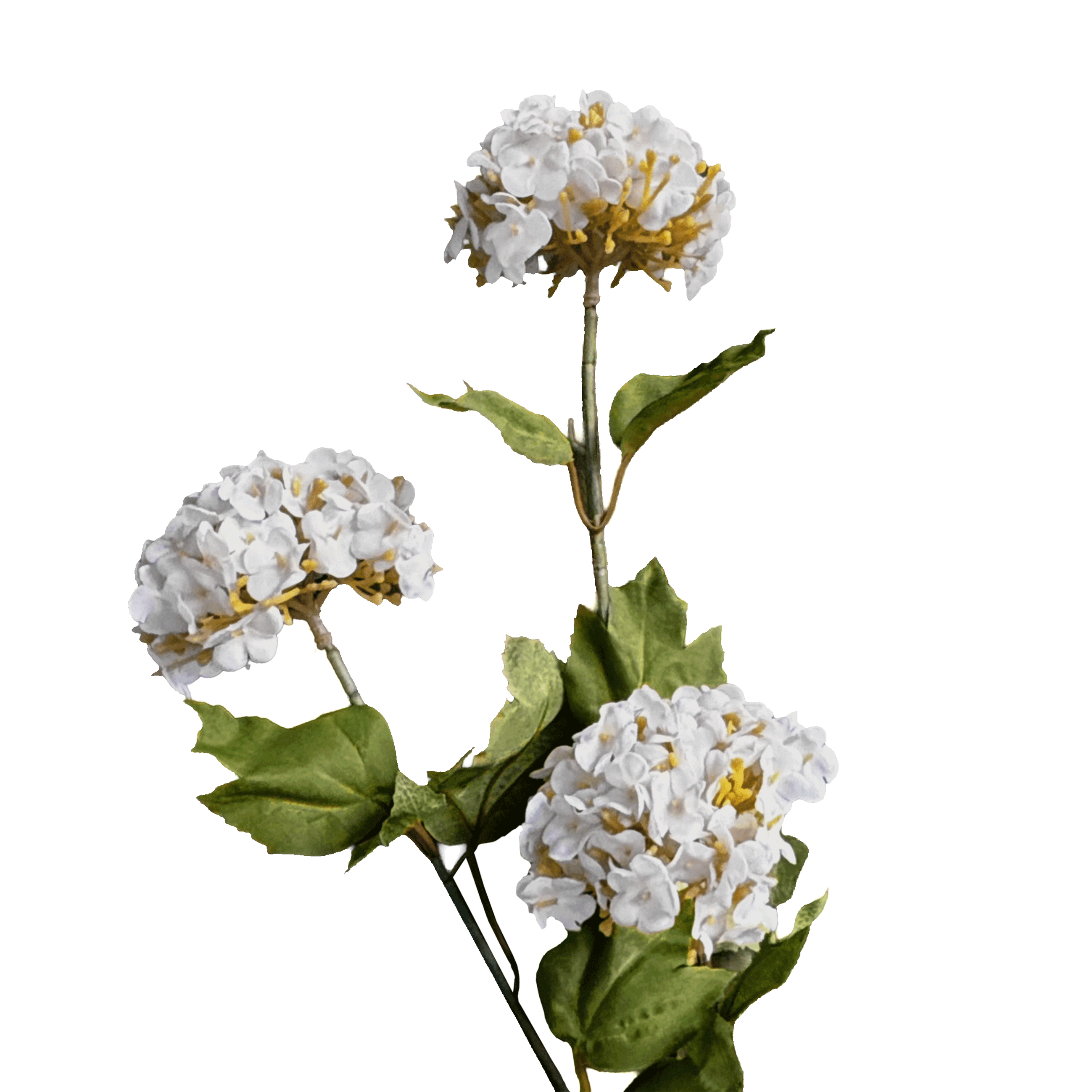 Hydrangea Tricluster Spray — Moonlight White