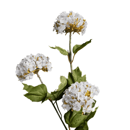 Hydrangea Tricluster Spray — Moonlight White