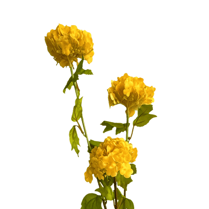 Hydrangea Tricluster Spray — Sunlit