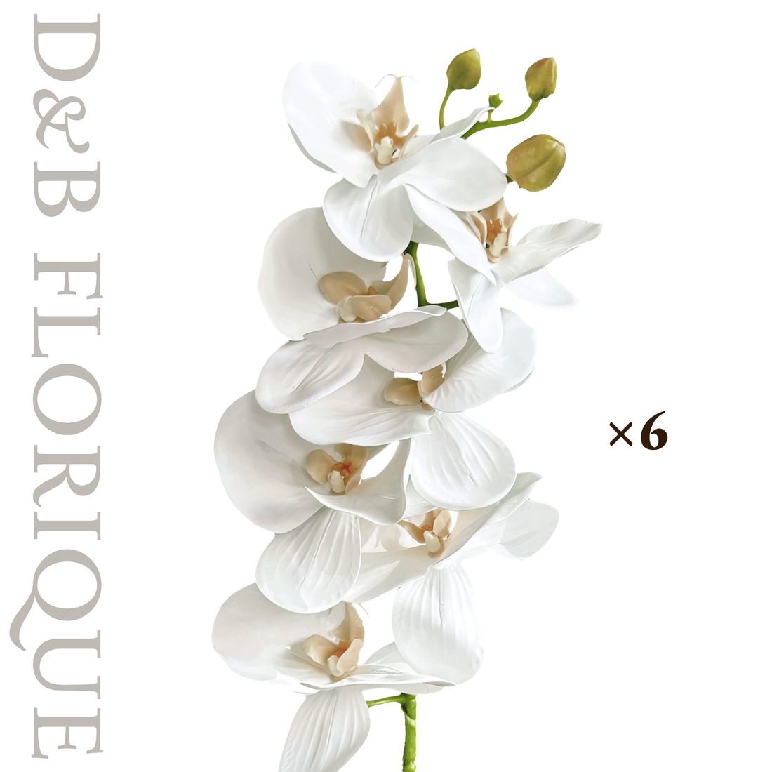 Layered White II (6 stems)