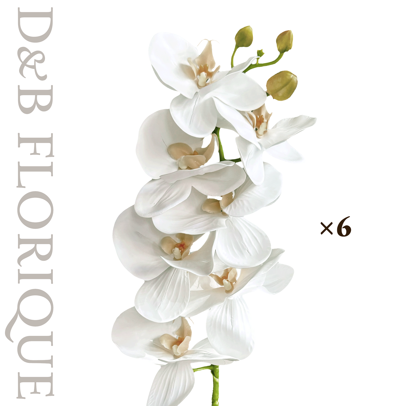 Layered White II (6 stems)