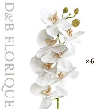 Layered White II (6 stems)