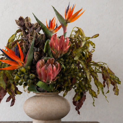 Wild Radiance (14 stems)